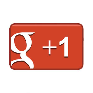 Google +1 plug-in